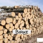 Birken-Stammholz – LKW-Ladung | 20–40 RM