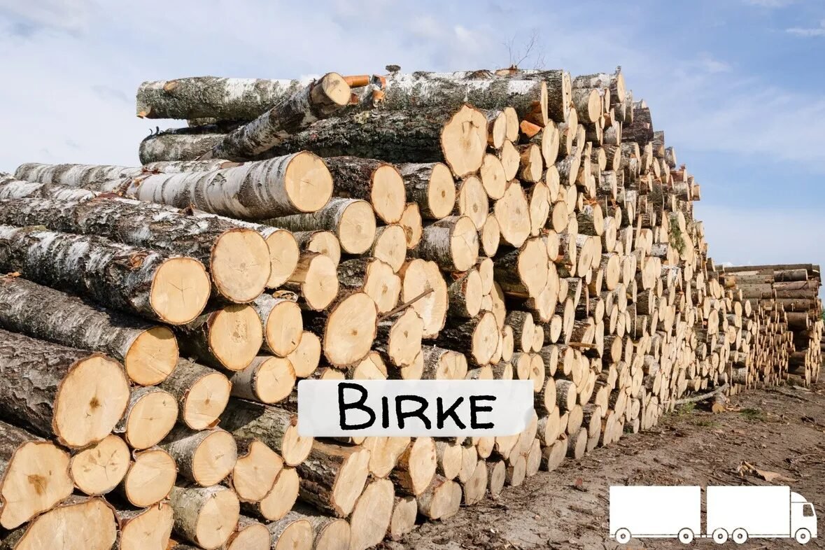 1.jpg Birken-Stammholz – LKW-Ladung | 20–40 RM - Image 1