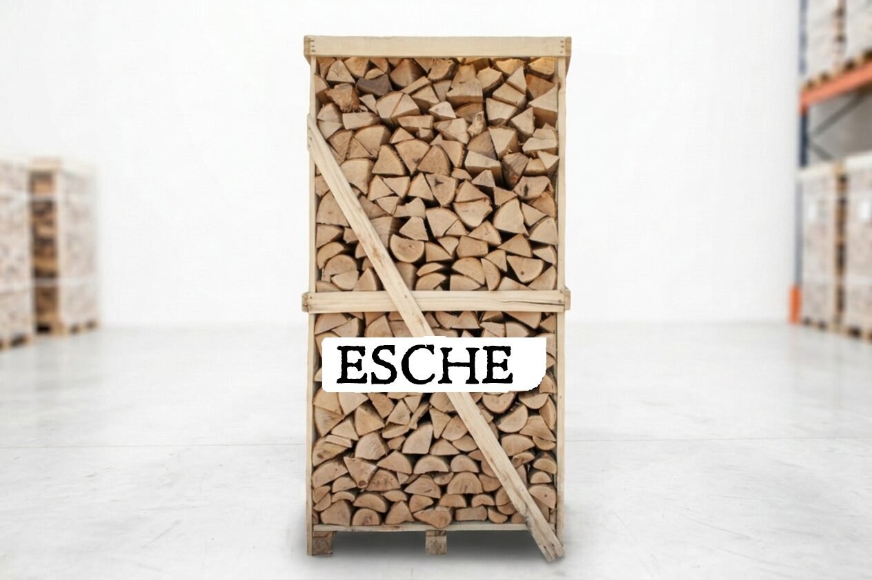 1RMLabelEsche_1_8_bb681748-7da1-42db-98db-ad05235d17b8.jpg Brennholz Palette – Esche – 25 cm – kammergetrocknet – 1,8 RM - Image 1