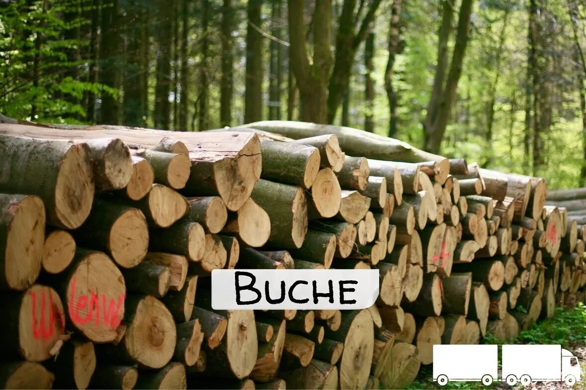 3.jpg Buchen-Stammholz – LKW-Ladung | ganz oder halb - Image 1