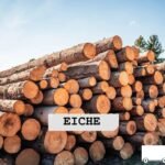 Eichen-Stammholz – LKW-Ladung | 20–40 RM