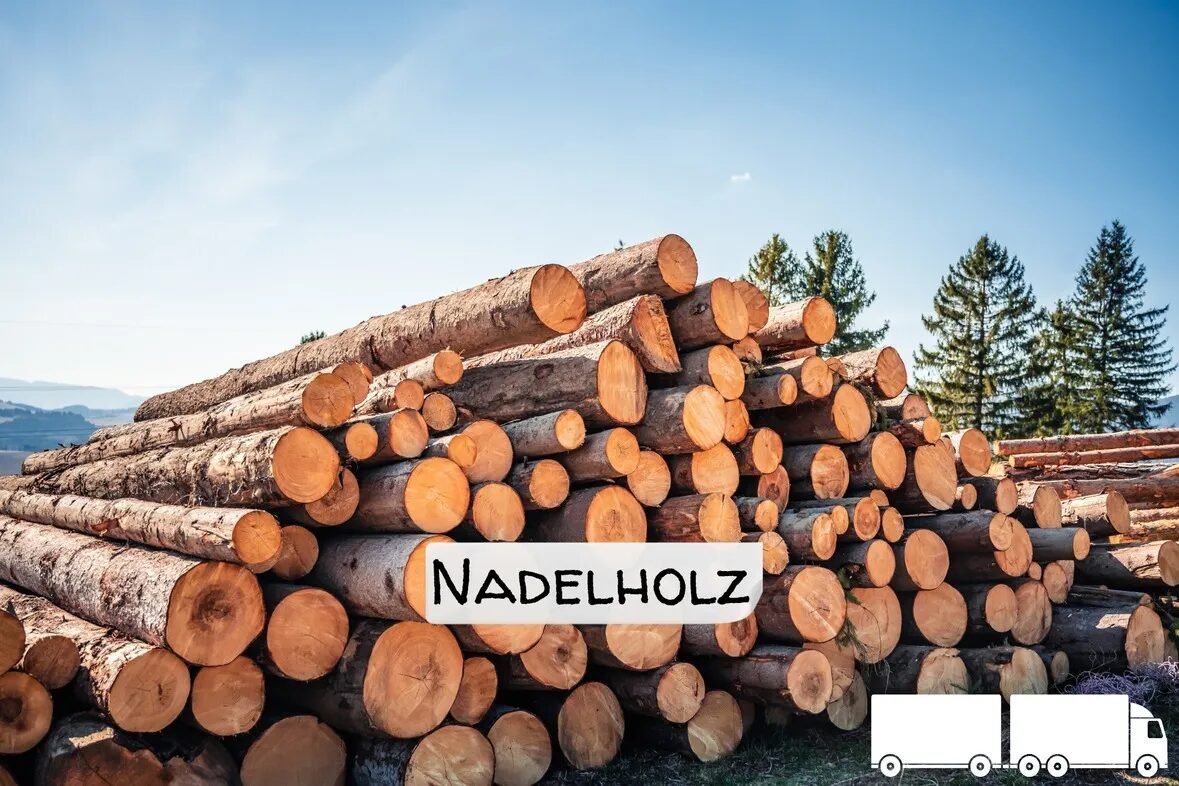 9.jpg Stammholz Nadelholz – LKW-Ladung flexibel - Image 1